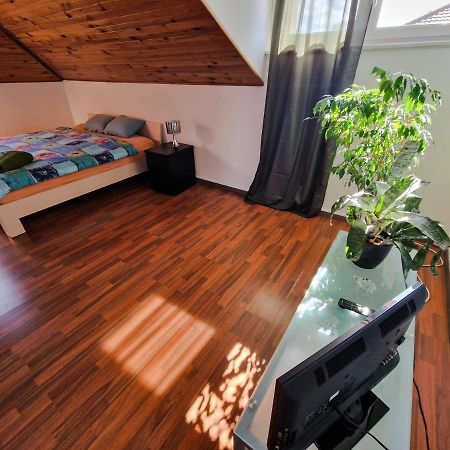 Beautiful Aparment Next To The Border 4 Room Saint-Louis  Kültér fotó