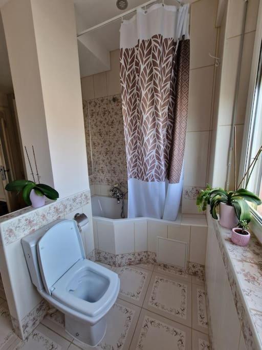 Beautiful Aparment Next To The Border 4 Room Saint-Louis  Kültér fotó