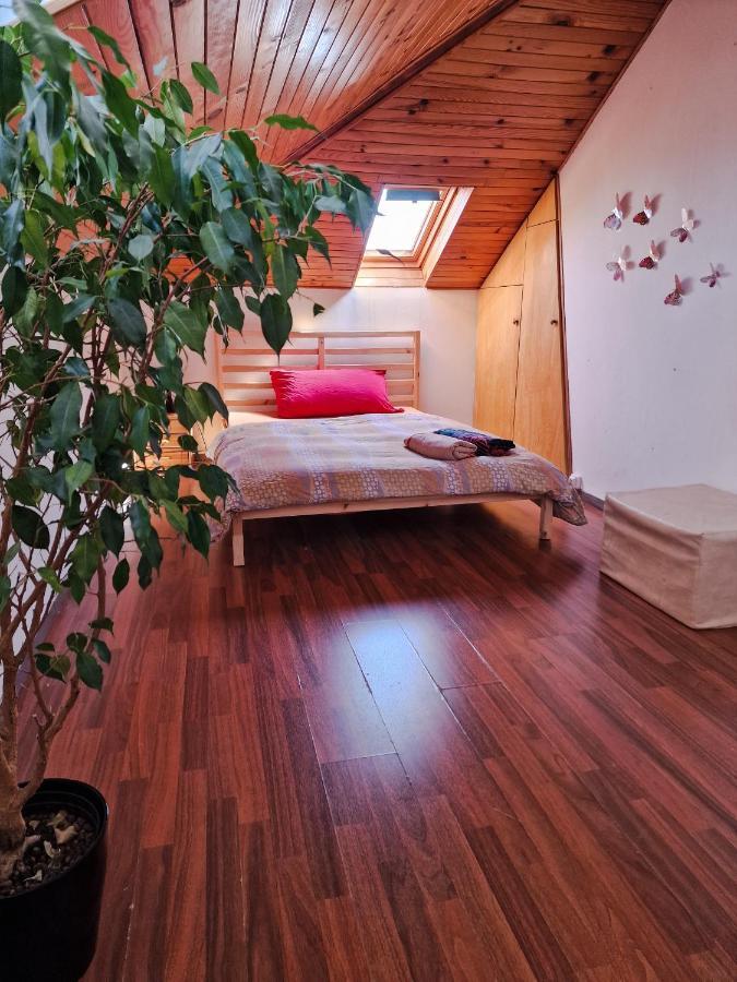 Beautiful Aparment Next To The Border 4 Room Saint-Louis  Kültér fotó